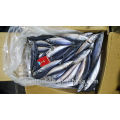 Taiwan pacific mackerel, chub mackerel seafrozen, blue mackerel